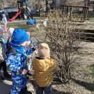 485476402_1194115435414774_6490217660108868724_n